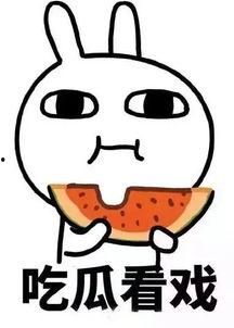 娱乐吃瓜酱外卖,带你尝鲜网红美食，轻松解锁味蕾新体验